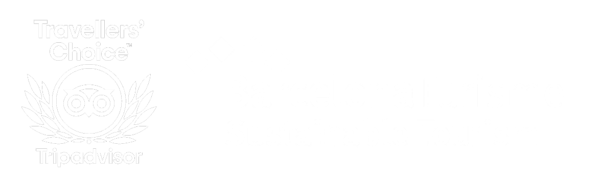 Tripadvisor Travellers' Choice and Barcelona Sustainable Tourism