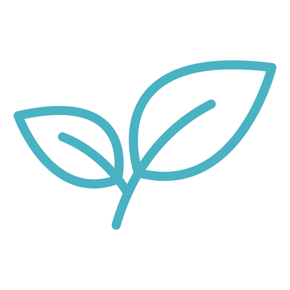 Simple blue line drawing of two leaves on a green background.